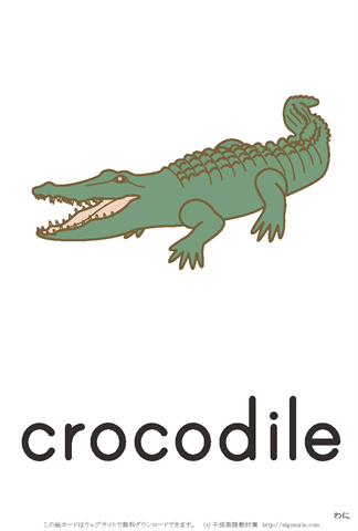 英語絵カード　「crocodile/わに」